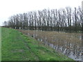 TL6886 : Flooded Trees by Keith Evans