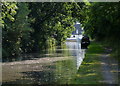 Staffordshire and Worcestershire Canal at Cross Green