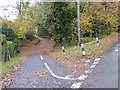 Grass triangle at junction of lanes near Colwood Manor