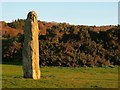 Standing Stone - Broomfields