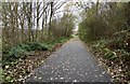 SJ8446 : Newcastle-under-Lyme: path and cycleway by Jonathan Hutchins