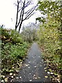 Newcastle-under-Lyme: footpath leading to Douglas Road