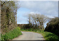 Lane east of Hardisworthy in Devon