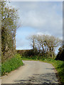 Lane to Lutsford in Devon