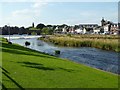 NX9775 : The River Nith and Dumfries by Philip Halling