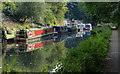 Narrowboats moored along the Staffordshire and Worcestershire Canal