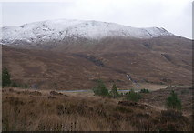 NH1020 : Exclosure, on the south side of Glen Affric by Craig Wallace