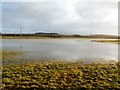 Flooded Field near South Elmsall