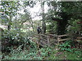 Footbridge over Cowclose Burn