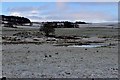 Frosty fields at Pathhead