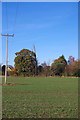 Footpath to Maldon Rd