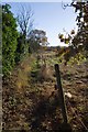 Footpath to Currys Farm