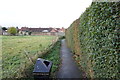 Path leading to Boardman Park, Brandesburton