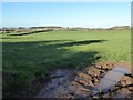 Farmland at Hatfield