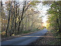 Wood Lane near Stables Wood Farm