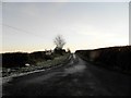 NO3704 : Farm road to Letham Farm by Douglas Nelson