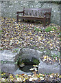 A bench and a pool