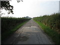 Bridleway to Egmanton