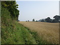 Bridleway by Rod Holt