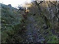 Old track above Tower Brae