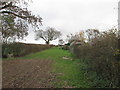 Footpath  between  hedges  to  Burnbutts  Lane