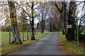 Entrance to The Meadows