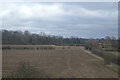 Farmland, Woodhall Farm