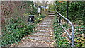 Leafy exit steps from canal towpath