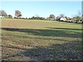 Farmland near Grantsfield