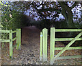 Footpath between Hullet Hole Wood and Paradise Farm, Shevington