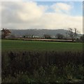 Fields Below the Cotswold Edge