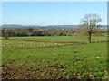 Farmland to the north of Leominster