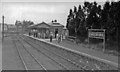 Cinderford station, 1950