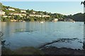 Malpas from Malpas Point