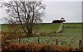 Farmland fences at Mc Whanrick