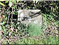 Footpath sign with chives, Brede Lane