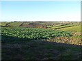 Rolling Herefordshire farmland