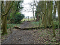 Footpath leaving woodland