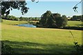 Pond near Tregonian