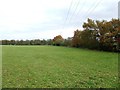 Meadow Under The Power Lines