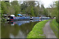 SO8690 : Narrowboats moored along the Staffordshire and Worcestershire Canal by Mat Fascione