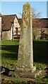 SO5156 : Memorial obelisk, Stoke Prior churchyard by Philip Halling
