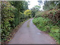 Lane descending from Little Doward