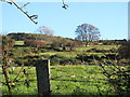 Field barn on the western slopes of the Knockbarragh ridge