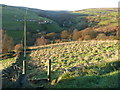 Stile on Halifax FP527, Warley