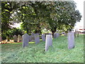 Swithland slate headstones in the churchyard, Tithby