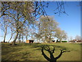 Retirement Paddock, Westcroft Stables