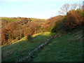 Halifax FP180 approaching woodland, Warley