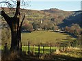 View eastwards from Coggers Lane