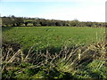 Garvallagh Townland